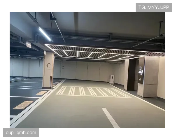 费钰婷家里到底多有钱？光车库就能当豪宅了吧？